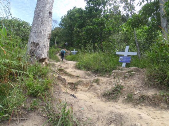 【コタキナバル発】聖ベロニカの丘ハイキング＆伝説の吊り橋渡りツアー<午前／軽食付き／日本語ガイド> 