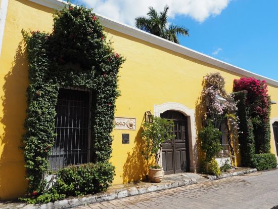 【貸切ツアー】ピンクレイク＋黄色い町イサマル フォトジェニックスポットを巡る＜昼食付き／日本語ガイド＞