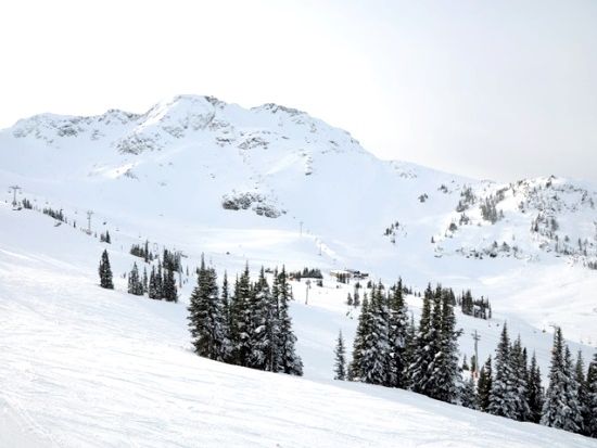 ゲレンデガイドが案内　スキーツアー ＜11～5月／ウィスラー発＞