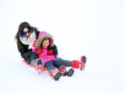 Japan_Snow_playing_shutterstock_757790947