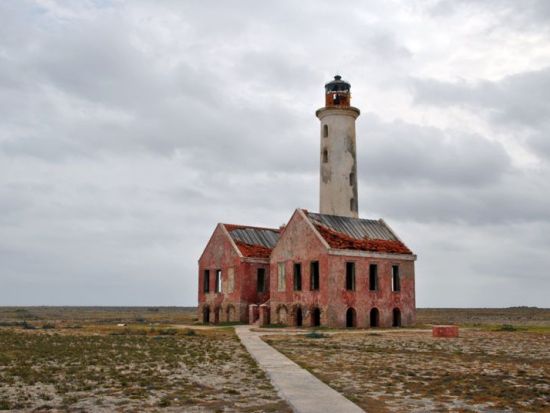 キュラソー　国立公園ジープサファリツアー＜英語ガイド/キュラソー発＞