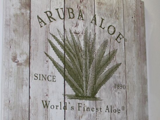 アルバ　アイランドツアー＜英語ガイド/アルバ発＞