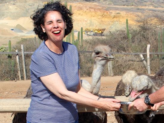 アルバ　アイランドツアー＜英語ガイド/アルバ発＞