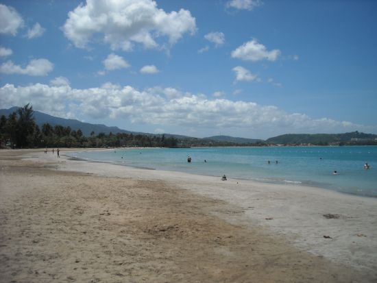 サンフアン　エルユンケ国立森林＆ルキージョビーチツアー＜英語又はスペイン語ガイド/サンフアン発＞