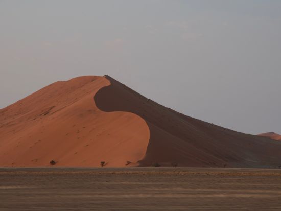 ナミビア6泊7日周遊ツアー　エトーシャ＆ナミブ砂漠で大自然満喫＜英語ガイド／ウィントフック国際空港発着＞