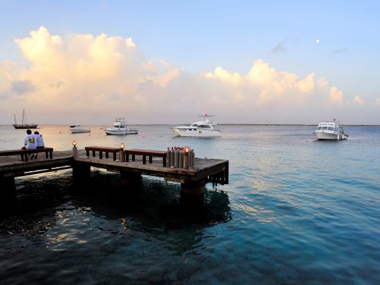 ボネール　ノースツアー＜英語ガイド/ボネール発＞