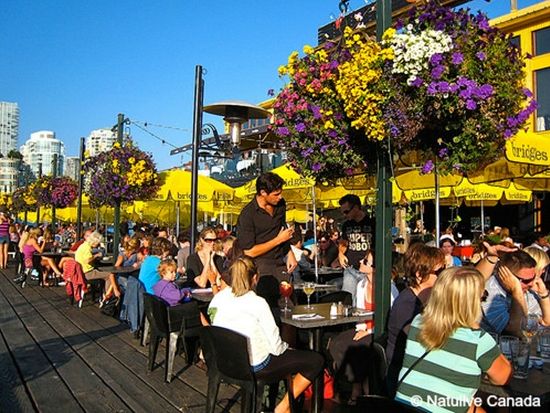 歩いてめぐるバンクーバー半日観光ツアー　地元を知り尽くしたガイドがご案内 ＜市バス＆地下鉄乗車券＆アクアバス乗船付き／日本語ガイド／1名参加OK＞