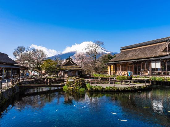 東京発富士山河口湖日帰りバスツアー　河口湖遊覧船・忍野八海＜昼食付きプランあり＞