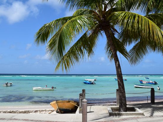 バルバドス　庭園＆ラム酒ツアー＜英語ガイド／バルバドス発＞