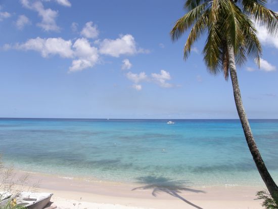 バルバドス　庭園＆ラム酒ツアー＜英語ガイド／バルバドス発＞