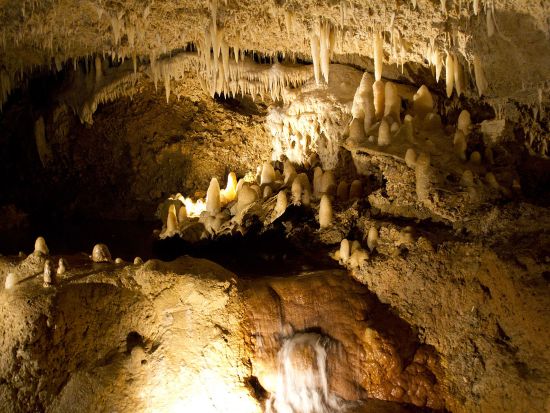 バルバドス　ハリソンズ洞窟＆ラム酒ツアー＜英語ガイド／バルバドス発＞