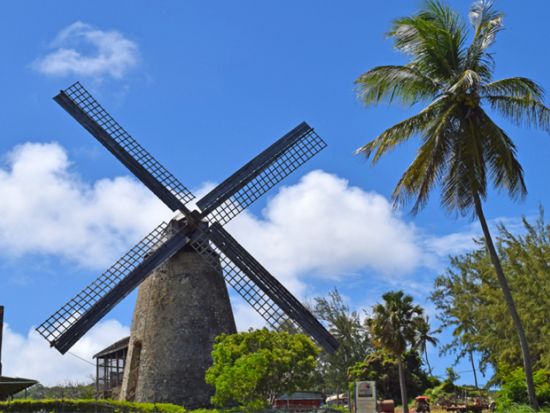 バルバドス　ベスト・オブ・バルバドスツアー＜英語ガイド／バルバドス発＞