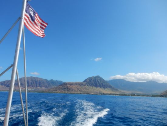 野生のイルカウォッチング＆ウミガメシュノーケリングクルーズ　たっぷり3時間のシュノーケルで満喫 ＜ランチ＆アルコール2杯付き／送迎付きor現地集合＞