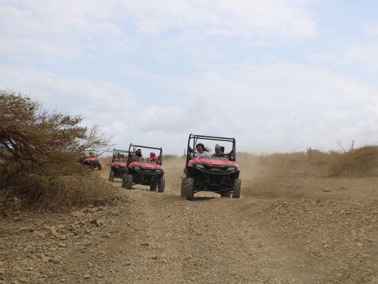 アルバ　UTVアドベンチャーツアー＜英語ガイド/アルバ発＞