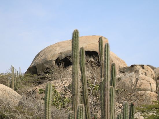 アルバ　UTVアドベンチャーツアー＜英語ガイド/アルバ発＞