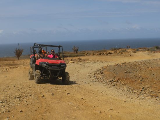 アルバ　UTVアドベンチャーツアー＜英語ガイド/アルバ発＞