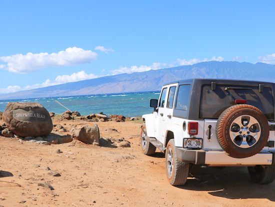 ラナイ島観光ツアー　ラナイ島行きフェリー往復チケット付き＜英語ガイド／半日／ マアラエア港発＞