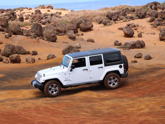 ラナイ島観光ツアー　ラナイ島行きフェリー往復チケット付き＜英語ガイド／半日／ マアラエア港発＞