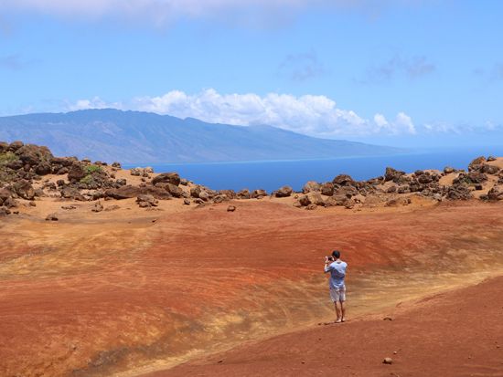 ラナイ島観光ツアー　ラナイ島行きフェリー往復チケット付き＜英語ガイド／半日／ マアラエア港発＞