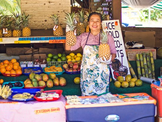  オアフ島1日観光　ノースショア（ハレイワ）と絶景スポット＆ローカルグルメ巡り欲張りツアー！ フミズのガーリックシュリンプランチ付き