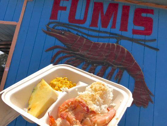  オアフ島1日観光　ノースショア（ハレイワ）と絶景スポット＆ローカルグルメ巡り欲張りツアー！ フミズのガーリックシュリンプランチ付き