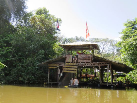 移動手段はボートのみ！トルトゥゲーロ国立公園訪問1泊2日宿泊付きツアー＜英語ガイド／サンホセ発＞