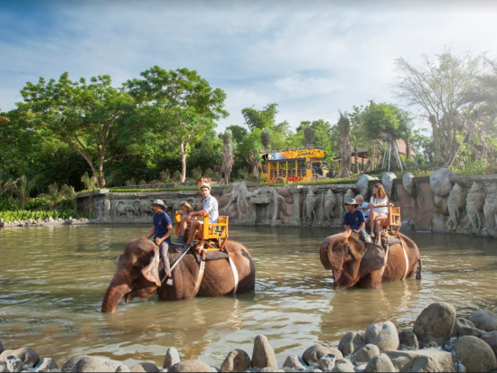 オランウータンと朝食&ウブド散策＜日本語ガイド／送迎付／昼食＞