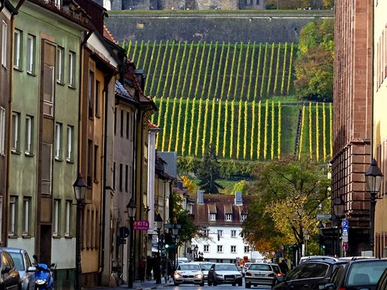 35100626551_63a6a33a44_o