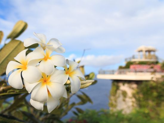 ハマーリムジン／リムジン貸切観光チャーター　選べるプラン！恋人岬や市内一周などの定番観光コース＜最大11名／1.5時間～／英語ドライバー／1台あたり料金＞