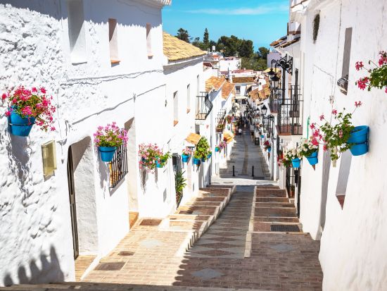 アンダルシアの白い村 ミハス＆モンテフリオ 1日観光プライベートツアー＜ベンツ車利用／グラナダ発マラガ着＞