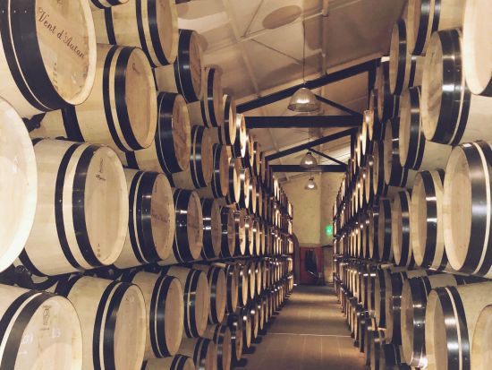 ボルドー　サン・テミリオン地区＆メドック地区　2つのシャトーを巡るツアー＜試飲付／日本語ガイド／ボルドー発着＞