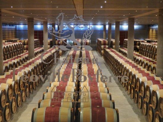 ボルドー格付けシャトー3軒訪問　メドック地区5大産地シャトーワインツアー　9時間コース＜試飲付き／日本語ドライバーガイド／ボルドー市内ホテル送迎可＞