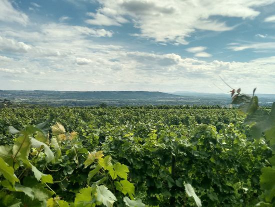 IMG_20170817_151242637_HDR