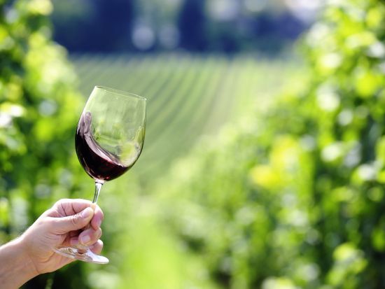 ボルドー格付けシャトー2軒訪問　メドック地区＆サン・テミリオン地区ワインツアー　9時間コース ＜試飲付き／日本語ドライバーガイド／ボルドー市内ホテル送迎可＞