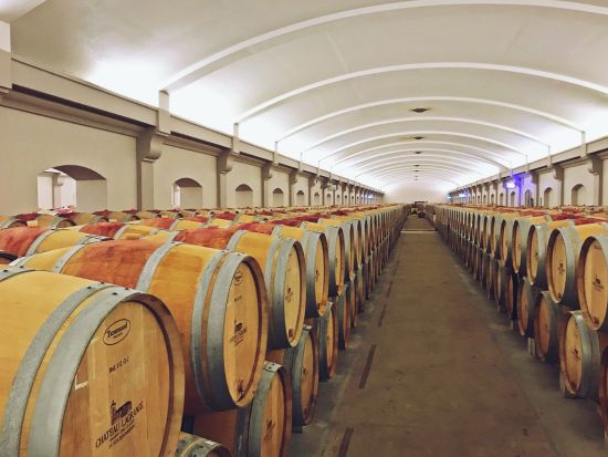 ボルドー　メドック・ワイン街道4つのエリア巡り（マルゴー、サンジュリアン、ポヤック、サンテステフ）＜試飲付／日本語ガイド／ボルドー発着＞