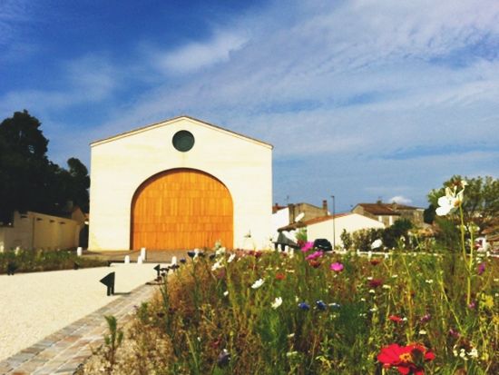 20160616065219_1618674676_2584_9