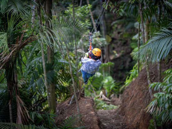 熱帯雨林の中を疾走！大満足の最新アクティビティ ジップライン半日ツアー＜半日/パナマシティ発＞