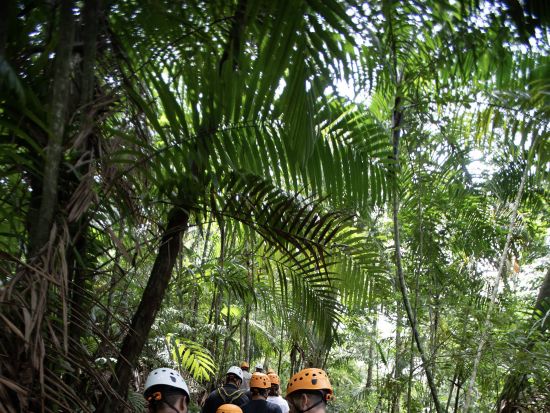 熱帯雨林の中を疾走！大満足の最新アクティビティ ジップライン半日ツアー＜半日/パナマシティ発＞