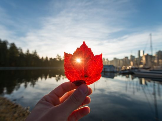 乗り継ぎ時間にめぐる バンクーバー市内トランジット観光ツアー 　食の宝庫グランビルアイランド立ち寄り ＜市バス＆カナダライン乗車券付き／日本語ガイド＞
