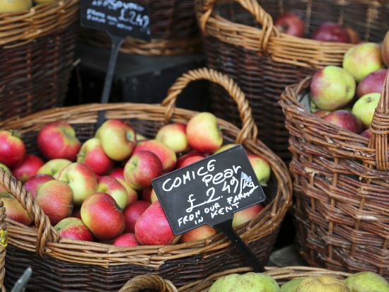 バンクーバー市内 半日ウォーキングツアー　コールハーバー＆グランビル・アイランドなど ＜ボート乗船付き／日本語ガイド＞