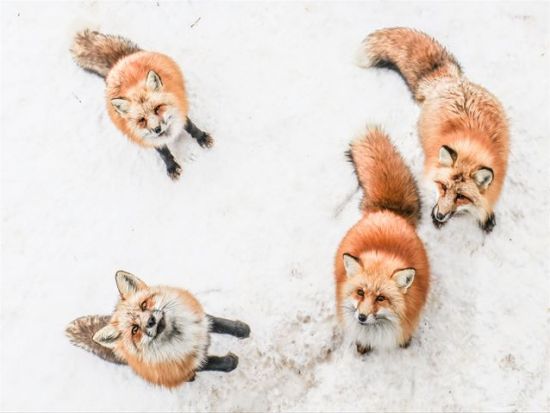 仙台発日帰りツアー　日本三景松島遊覧船乗船・松島離宮・瑞巌寺+笹かま＆牡蠣付き♪＜火木金土限定／仙台駅発着＞