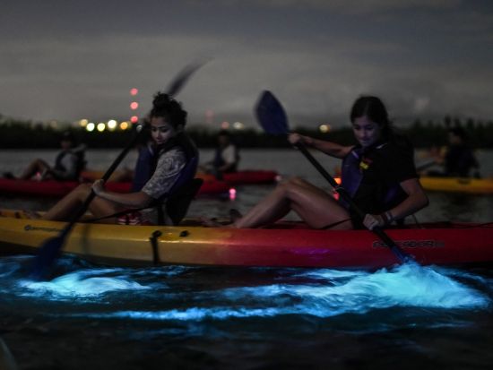 サンフアン　ナイトカヤッキングツアー＜英語又はスペイン語ガイド/サンフアン発＞
