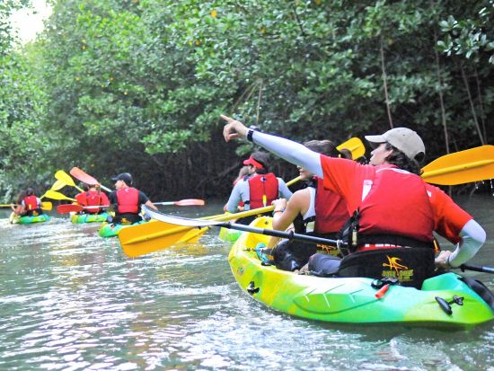 サンフアン　ナイトカヤッキングツアー＜英語又はスペイン語ガイド/サンフアン発＞