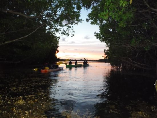 サンフアン　ナイトカヤッキングツアー＜英語又はスペイン語ガイド/サンフアン発＞