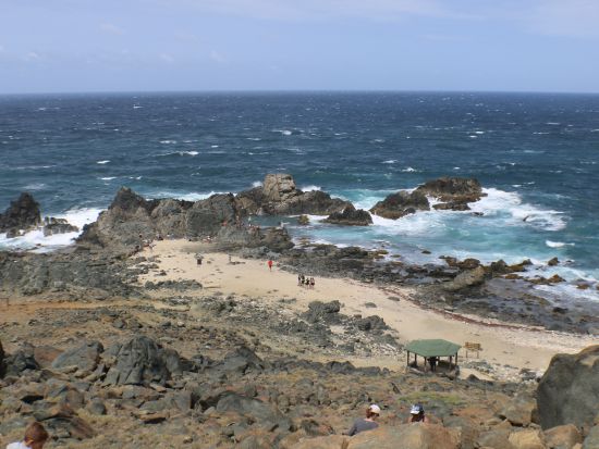 アルバ　ATVアドベンチャーツアー＜英語ガイド/アルバ発＞