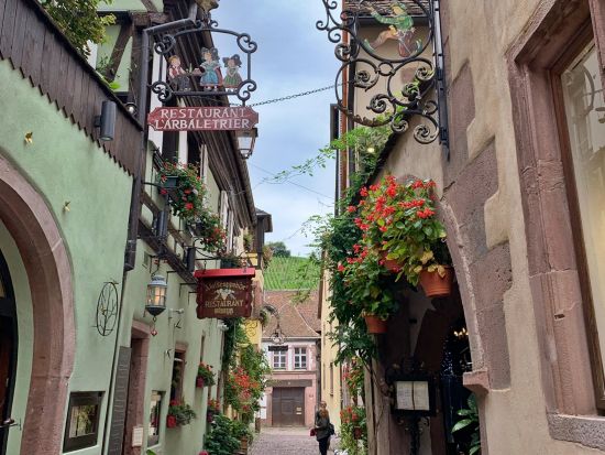 アルザス地方　3軒のワイナリーを巡る1日観光ツアー ＜試飲付き／英語ドライバーガイド／ストラスブール発＞