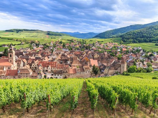 アルザス地方　3軒のワイナリーを巡る1日観光ツアー ＜試飲付き／英語ドライバーガイド／ストラスブール発＞