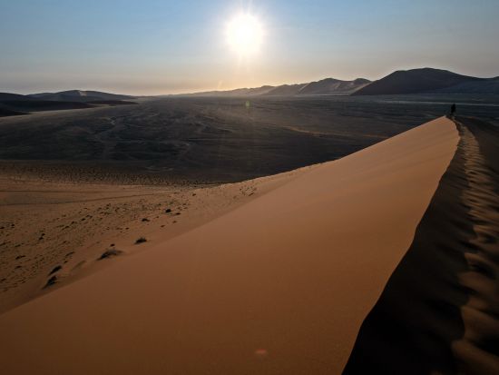 ナミビア6泊7日周遊ツアー　エトーシャ＆ナミブ砂漠で大自然満喫＜英語ガイド／ウィントフック国際空港発着＞