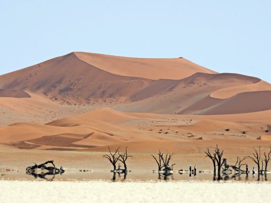 【プライベートツアー】ナミブ砂漠を巡る宿泊付き観光ツアー☆砂漠を染める美しい夕日と朝日の両方を堪能！＜1泊2日or2泊3日／英語ガイド／ウィントフック発＞