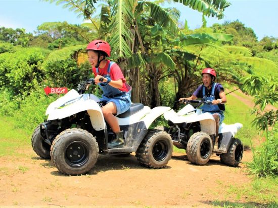 バギーで農園観光ツアー 沖縄でしか体験できない広大な農園を爽快ドライブ　雨の日バキーもオススメ　＜1時間／4歳からOK／免許不要／雨具貸出／やんばる（東村）＞